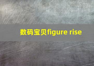 数码宝贝figure rise